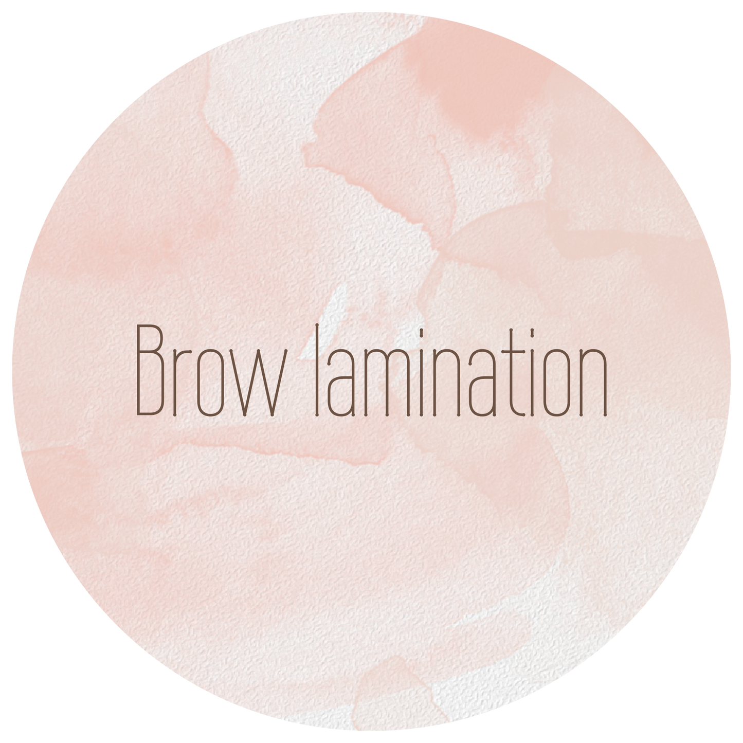 Brow Lamination (no tint)
